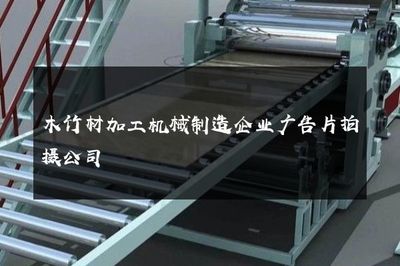 智造未來，共筑綠色家園——專業(yè)木竹材加工機械制造企業(yè)廣告片拍攝服務