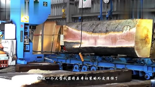 德國木材加工的工業美學 精準與霸氣的機械交響